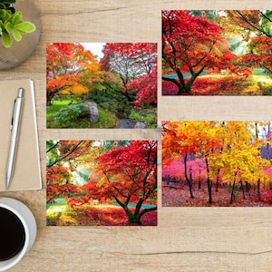 Autumn Landscapes Postcard Set | 4 Postcards | 130 Thick Cardstock | For sending POSTCROSSING or a postcard to a friend, family member Fall