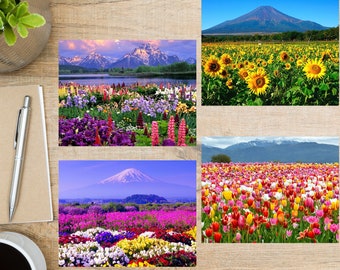 Ensemble de cartes postales de paysages de printemps | 4 cartes postales | Papier cartonné épais 130 | Pour envoyer POSTCROSSING ou une carte postale à un ami, un membre de la famille