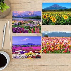 Juego de postales con paisajes primaverales / 4 postales / Cartulina gruesa de 130 g / Para enviar POSTCROSSING o una postal a un amigo o familiar