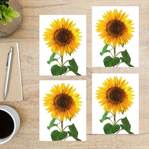 Set de cartes postales tournesol | 4 cartes postales | Papier cartonné épais 130 | Joli lot de cartes postales pour les amateurs de tournesols ! Illuminez la journée d'un ami.
