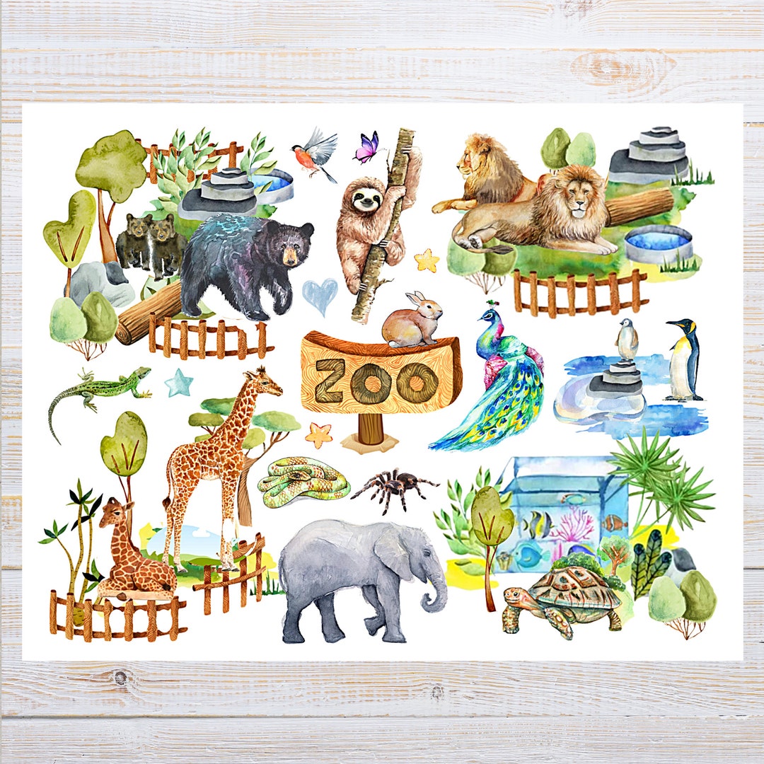 Zoo Postcard 1 Postcard Thick Cardstock for Sending a Postcard to a