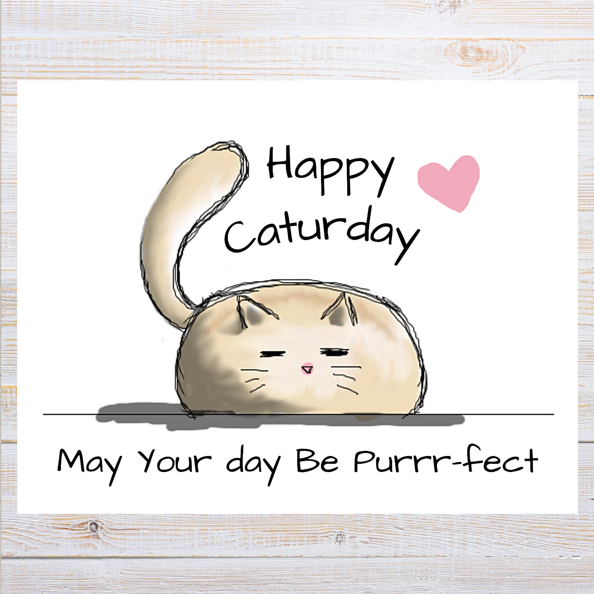 Caturday! Caturday!