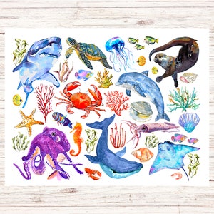 Sea Creatures Postcard | 1 Postcard | Thick Cardstock | For sending a postcard to a friend