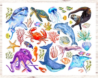 Cartolina Creature Marine / 1 cartolina / Cartoncino spesso / Per inviare una cartolina a un amico