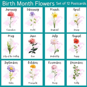 Fleurs du mois de naissance, paquet de 12 cartes postales ou cartes pour correspondance | 12 Cartes postales ou cartes pour correspondance | Papier cartonné épais | Ensemble de collection d'anniversaire du zodiaque
