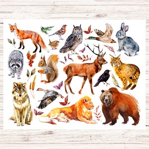 postale d'animaux de la forêt | 1 carte postale | Papier cartonné épais | Pour envoyer une carte postale à un ami