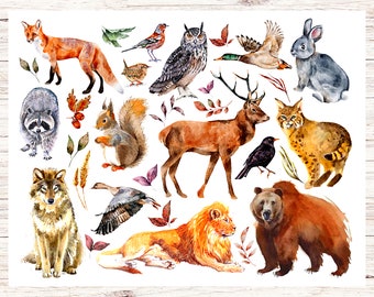 Forest Animals Postcard | 1 Postcard | Thick Cardstock | For sending a postcard to a friend