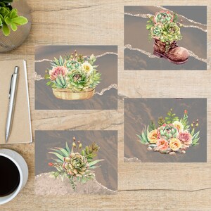 Cartões postais suculentos | Conjunto de 4 | lindos em cores | Capacidade de personalizar | suculentas cactos cactos verde marrom planta planta de casa