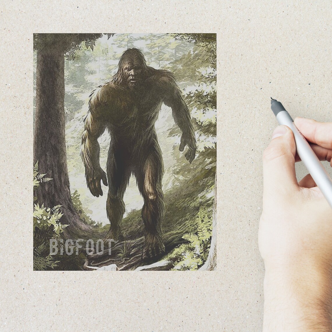 Bigfoot Postcard Set 4 Postcards 130 Thick Cardstock for - Etsy