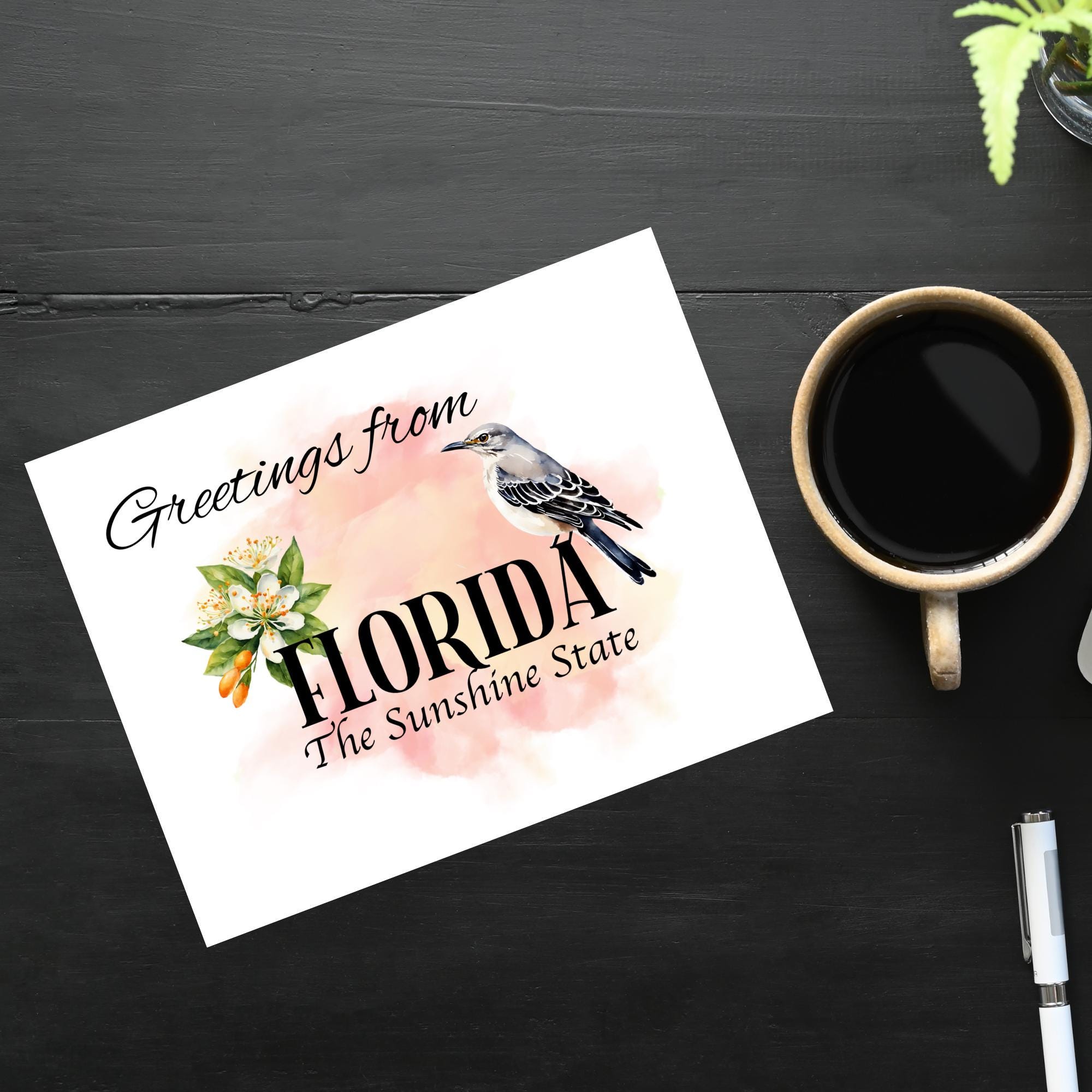 Postcard Note Card Greetings From Florida Postcard | 1 Postcard or Notecard | Thick ...