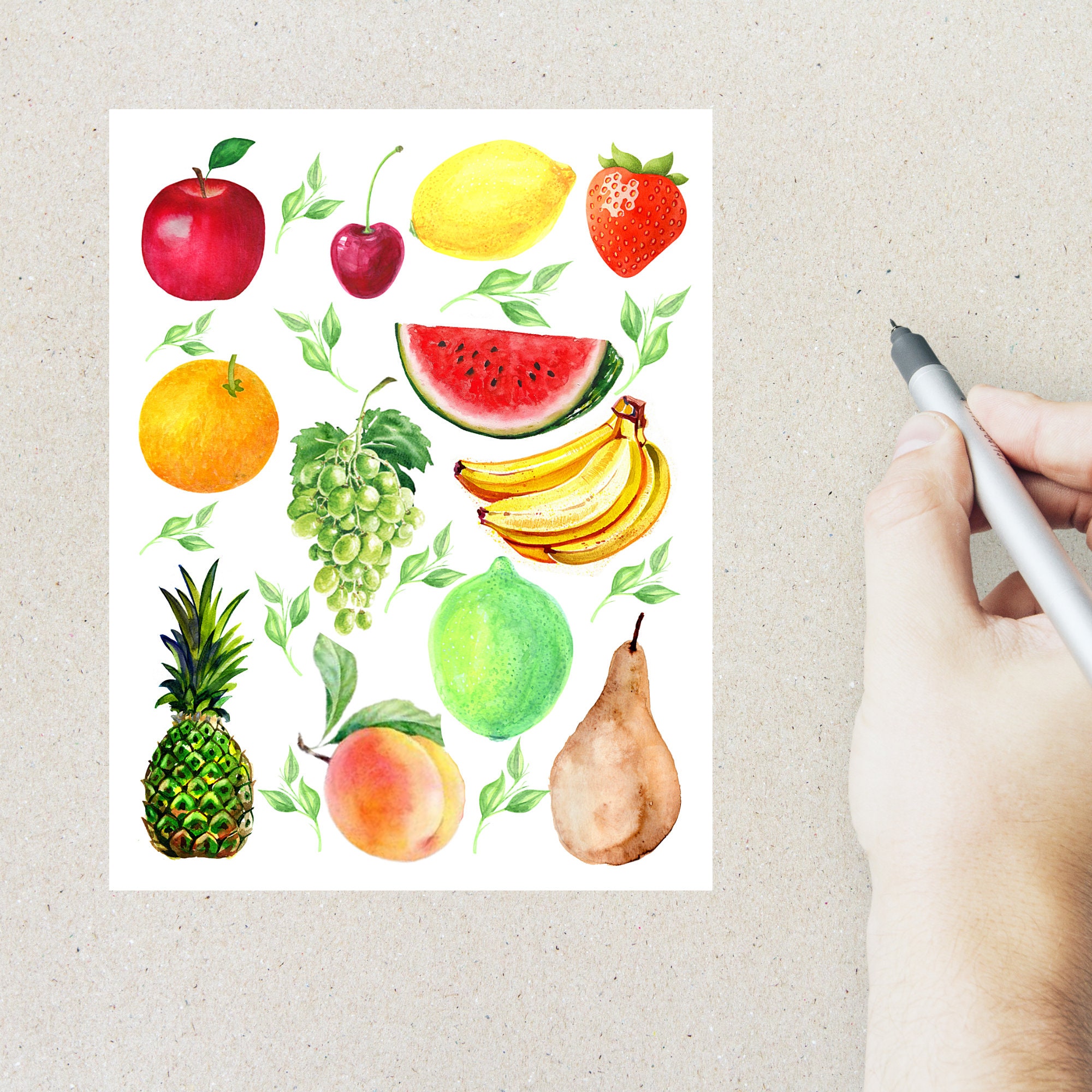 Fruits and Vegetable Postcard Set 4 Postcards 130 Thick Etsy
