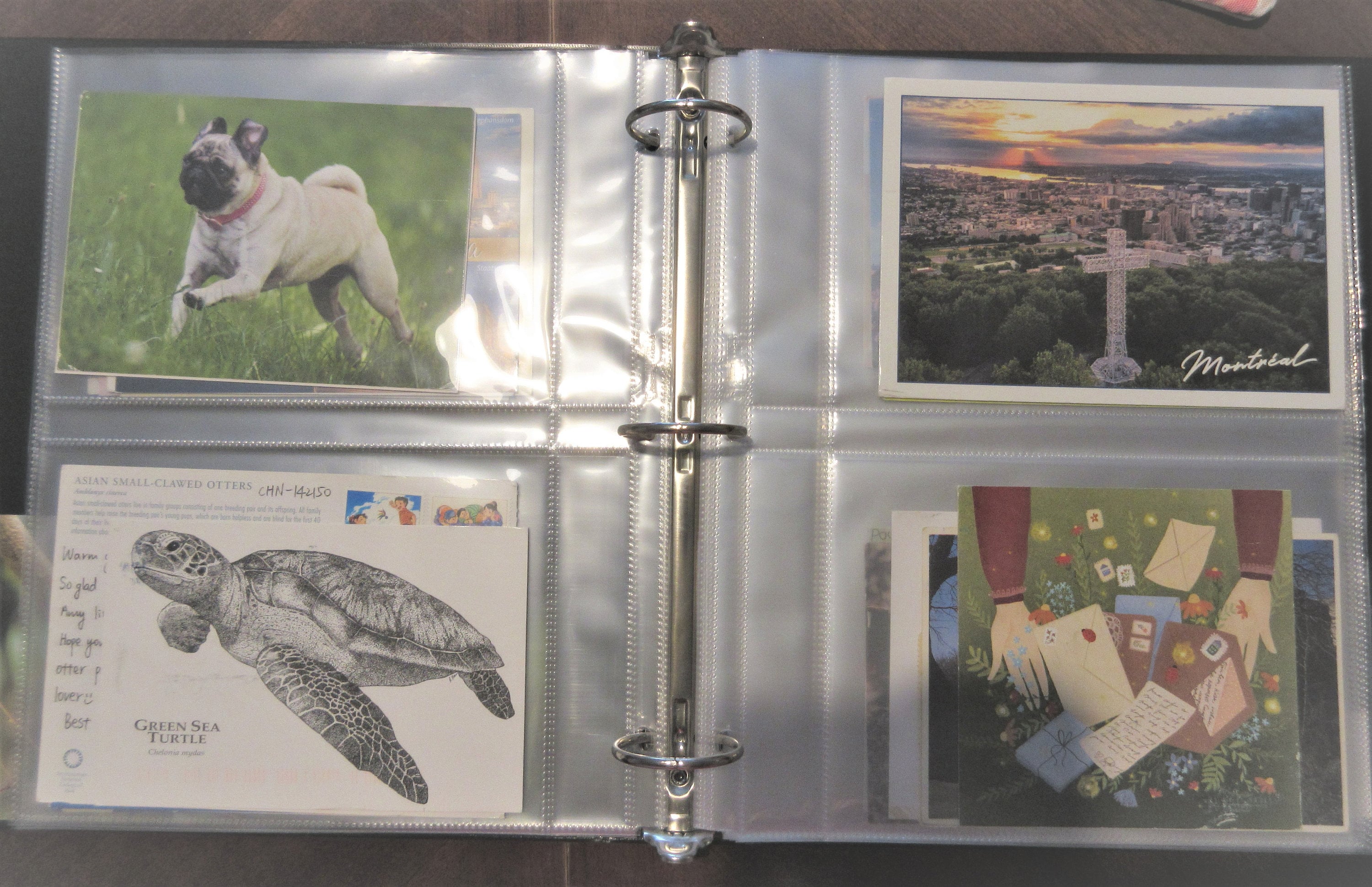 3 Ring Postcard Organizer/binder Black 20 Pages 24 Etsy