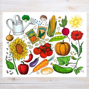 Garten-Collage Postkarte | 1 Postkarte | Dicker Karton | Zum Versenden einer Postkarte an einen Freund