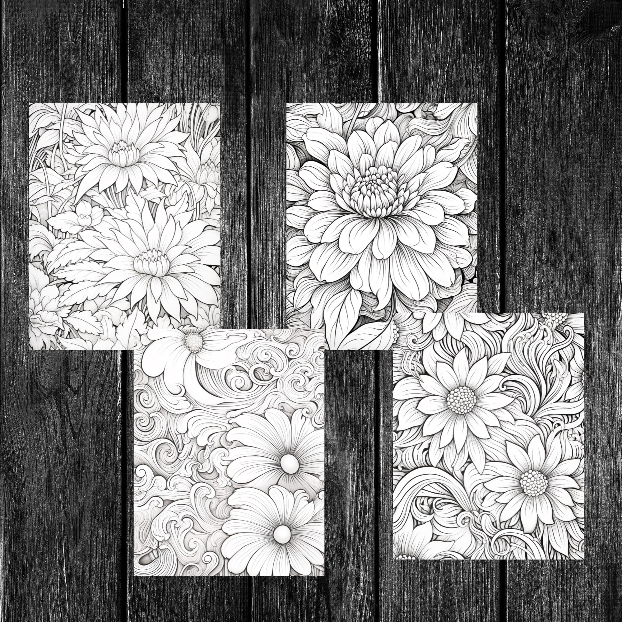 Color Me Flowers Postcards | Set of 4 Postcards | Great for Postcard ...