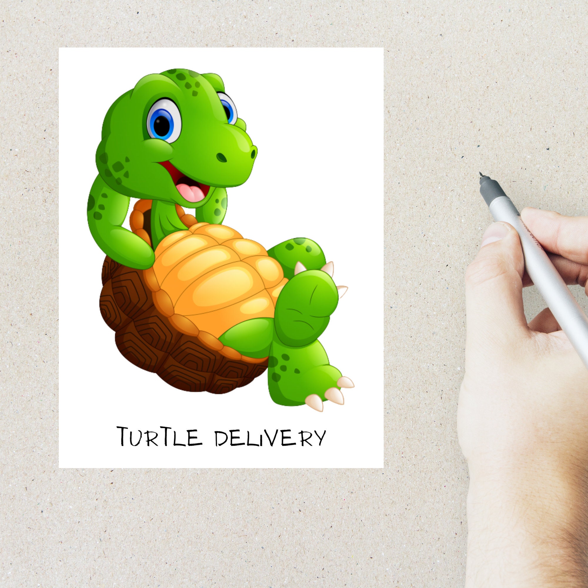 Schildkröte Mail Postkarte Set 4 Postkarten 130 Dicke Etsy.de