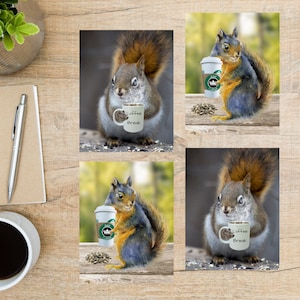 Kaffee Eichhörnchen Postkarten Set | 4 Postkarten | 130 Dicker Karton | Zum Versenden einer Postkarte an Freunde oder Familie oder Postcrossing