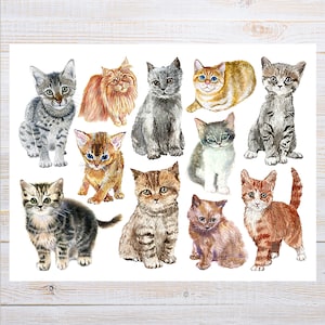 postale de collage de chat | 1 carte postale | Papier cartonné épais | Pour envoyer une carte postale à un ami