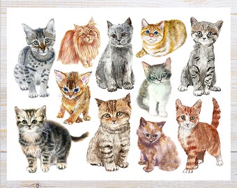 Cat Collage Postcard | 1 Postcard | Thick Cardstock | For sending a postcard to a friend