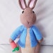 Peter Rabbit Crochet Pattern - Etsy