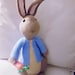 Peter Rabbit Crochet Pattern - Etsy