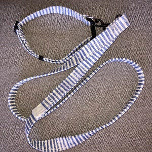 Dog Pet Collar and Lead Bundle blue stripe