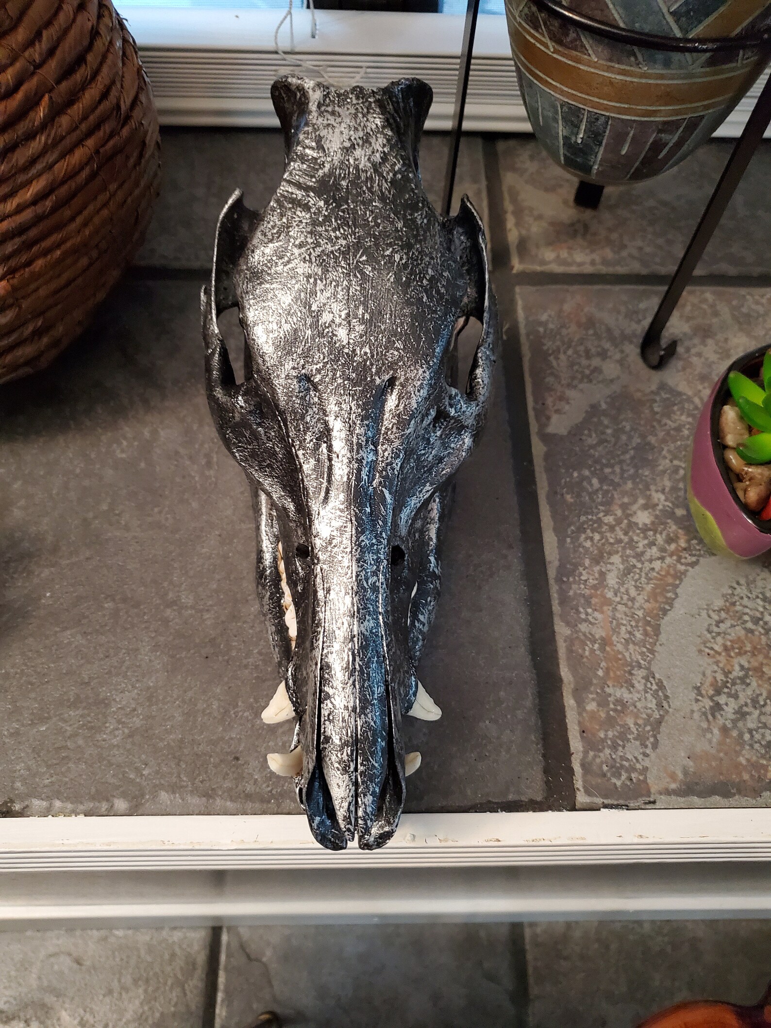 Wild hog skull hand painted has teeth and tusks | Etsy