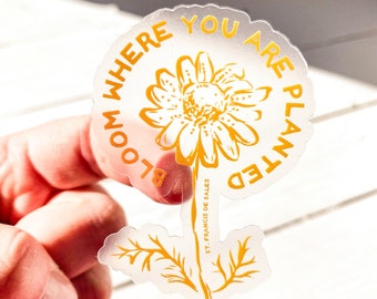 CLEAR Catholic Sticker | "Bloom where you are planted" | Chamomile flower| St. Francis De Sales paraphrased quote |Clear & yellow|Hand drawn