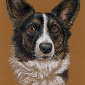 Custom Pet Portrait - Hand Drawn Colored Pencil Fine Art Dog Cat Animal ...
