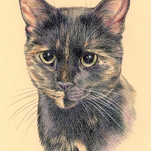Custom Pet Portrait - Hand Drawn Colored Pencil Fine Art Dog Cat Animal ...