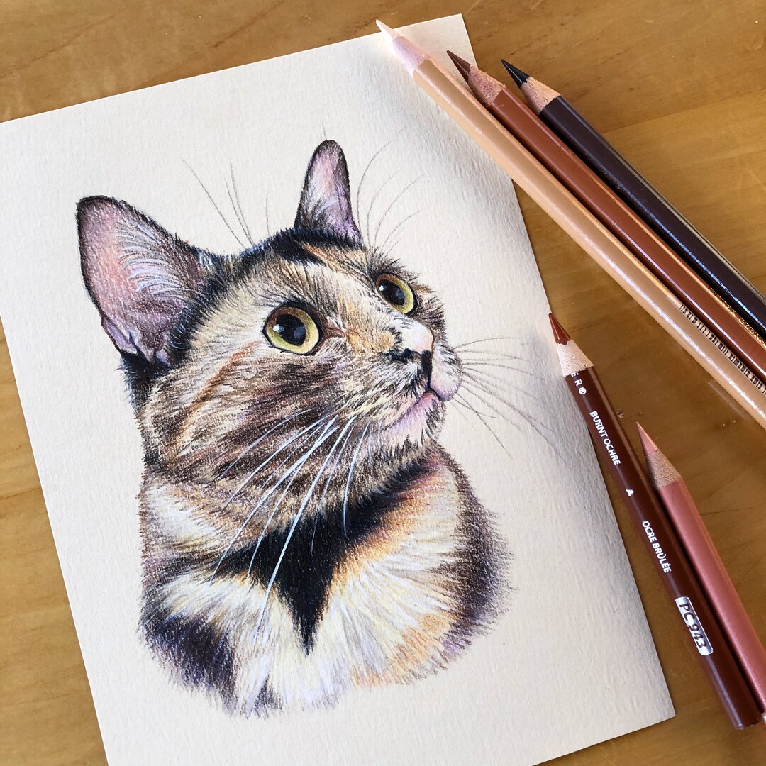 Custom Pet Portrait - Hand Drawn Colored Pencil Fine Art Dog Cat Animal ...
