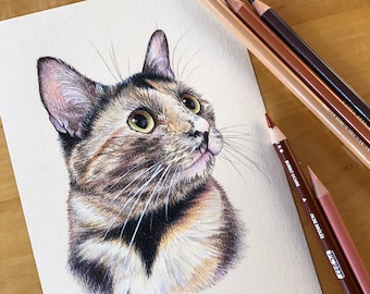 Puede incluir: Un dibujo a lápiz detallado de un gato calico con pelaje marrón, negro y blanco. El gato está mirando hacia arriba y hacia la derecha con la boca ligeramente abierta. El dibujo está sobre un fondo blanco.