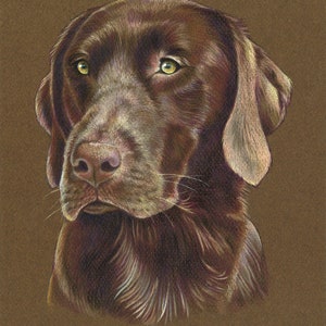 Custom Pet Portrait - Hand Drawn Colored Pencil Fine Art Dog Cat Animal ...
