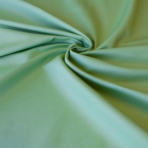Scalamandre Cannes Verde Sbiadito Spring Green Cotton