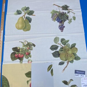 18b Berkbox9 Length Scalamandre Print 34&quot;L x 27&quot; W Les Fruits Multi On Ivory