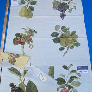 18k Berkbox9 Length Scalamandre Print 34&quot;L x 27&quot; W Inches Les Fruits Multi On Ivory
