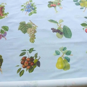 Peut inclure: Un tissu bleu clair avec un motif répétitif de divers fruits et baies. Les fruits comprennent des prunes, des raisins, des pommes, des poires et des cerises. Les baies sont rouges et noires.