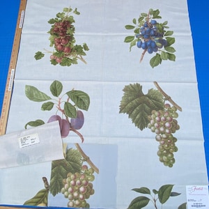 18j Berkbox9 Length Scalamandre Print 34&quot;L x 27&quot; W Inches Les Fruits Multi On Ivory