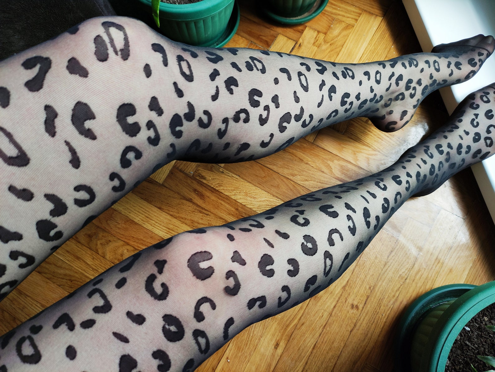 Leopard Printed Tights for Women. Black Sexy Sheer Lolita Etsy