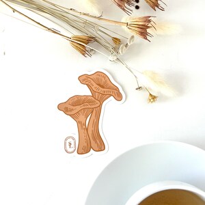 Chanterelle mushrooms illustration 3” vinyl sticker fungus sticker mushroom sticker water bottle sticker gift foodie mushroom lover gift