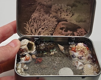 Micro tide pool in Altoid tin