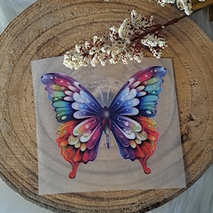 Patch thermocollant coloré papillon pour enfants et adultes, adapté aux cartables, T-shirts, sacs, oreillers, pulls, vestes en jean