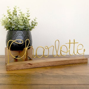 May include: A gold wire name sign spelling "Charlotte" on a wooden base. A potted plant with green leaves sits behind the sign.