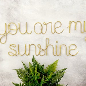 May include: Gold wire sculpture of the phrase "You are my sunshine" on a white background with a green fern plant in the bottom center of the image.