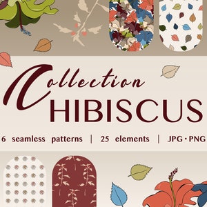 Hibiscus Digital Clipart, Hibiscus Digital Paper, Individual PNG files, Hibiscus Floral Graphics