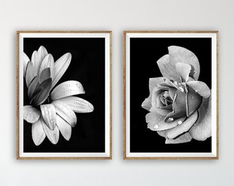 Black & White Printable Wall Art Set of 2 - Flower Print - Flower Wall Art - Modern Floral Print Wall Decor - Instant Digital Download