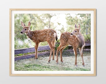 Twin Fawns Photo Print, Baby Deer Twins, Baby Animal Wall Print, Cute Kids Room Decor, Wildlife, Digital Download, Printable Wall Art