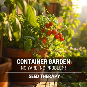 Container Garden Seed Collection – Heirloom Seeds for Containers, 12 Varieties, Compact Space & Urban Garden Favorite