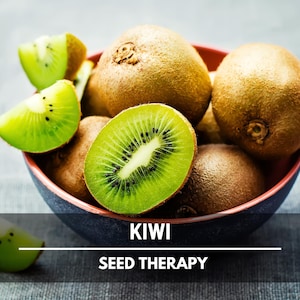 Kiwi Seeds (Chinese Gooseberry) – Heirloom Fruit, Exotic and Sweet, Easy to Grow, Unique Garden Vine | 100 Seeds