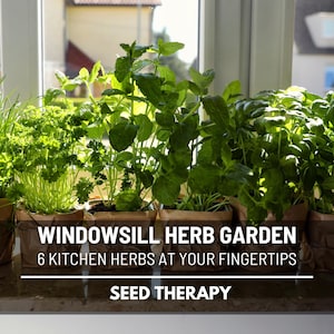 Windowsill Herb Seed Collection – 6 Culinary Herbs, Heirloom, Non-GMO, Easy to Grow, Perfect Garden Gift