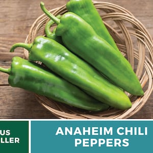 May include: A basket of green Anaheim chili peppers. US Seller.